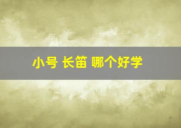 小号 长笛 哪个好学